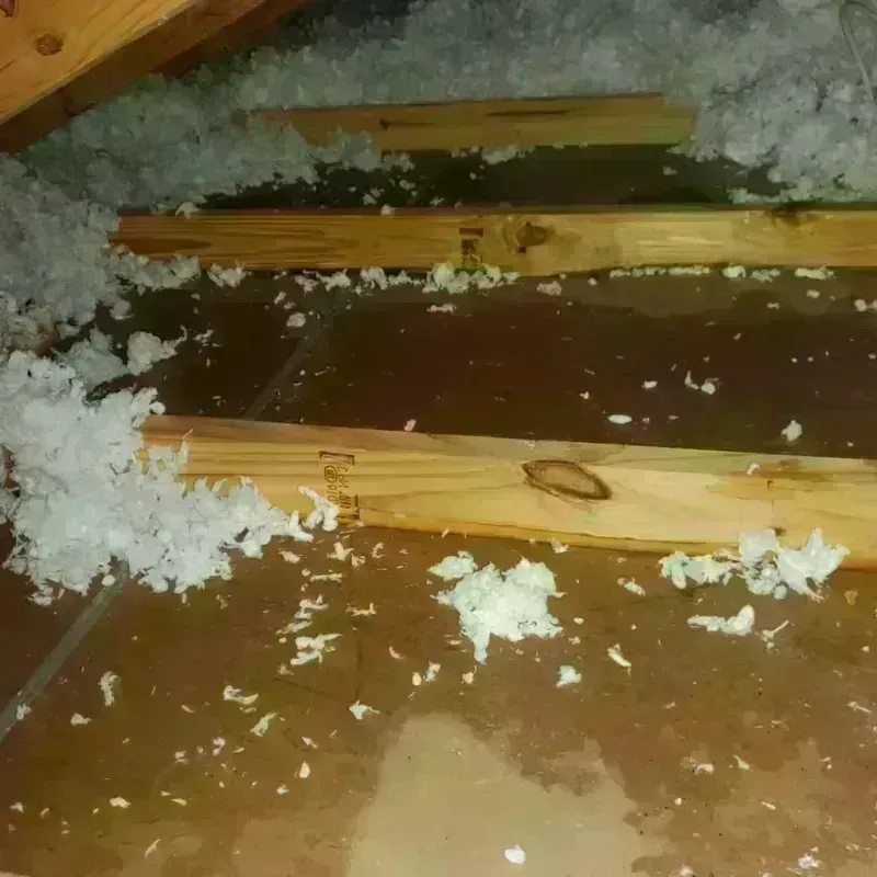 Attic Water Damage in McIntosh County, ND